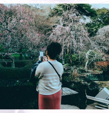 LOOK: Colors of winter, tinges of spring at Hasedera in Kamakura, Japan
