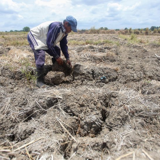 PAGASA: El Niño starting to weaken, but La Niña may occur later in 2024