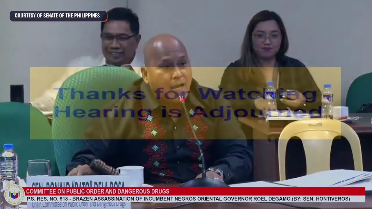 LIVESTREAM: Senate inquiry into Degamo killing
