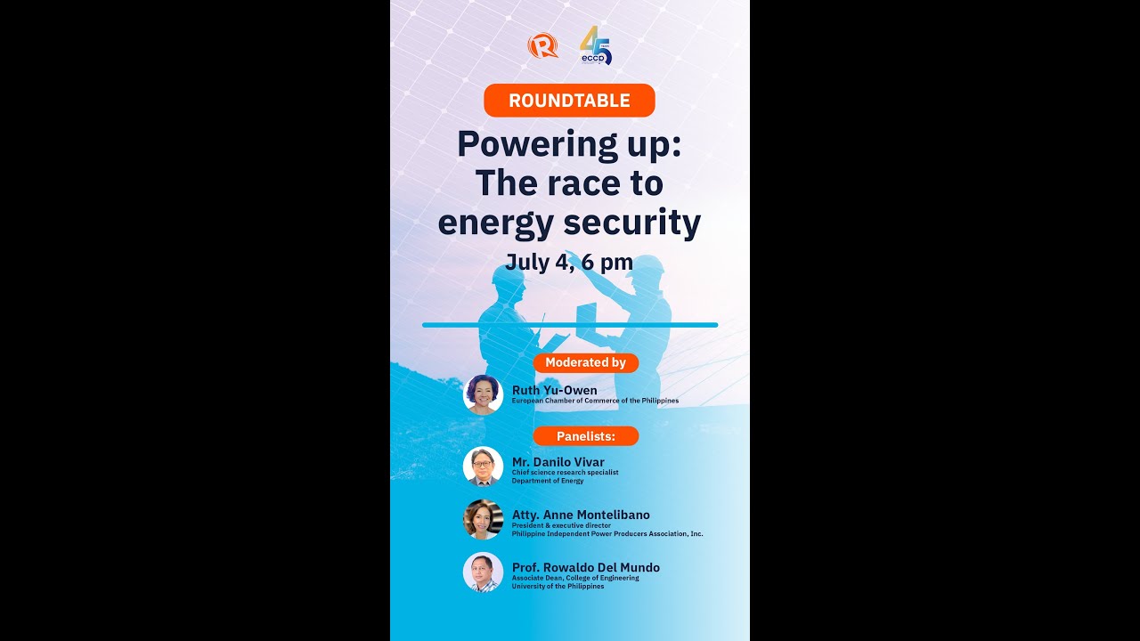 [ROUNDTABLE] Powering Up: The race to energy security
