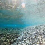 SolGen mulls bringing China to Hague anew over coral reef destruction