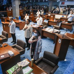 Does charter change stand a chance in the Senate?